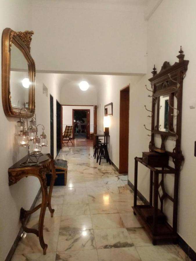 Alentejo Cante & Vinho Ferreira Do Alentejo Zewnętrze zdjęcie