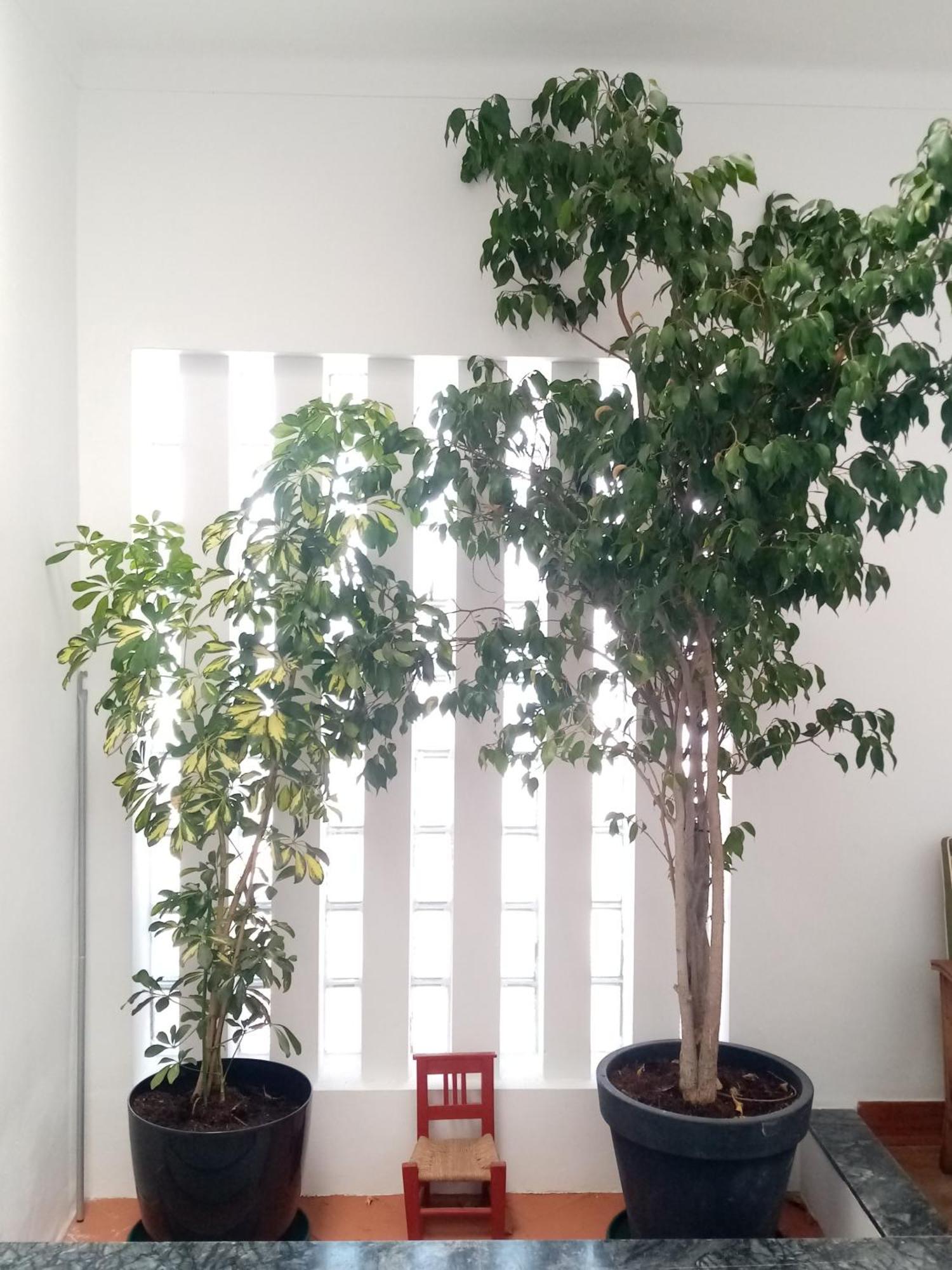Alentejo Cante & Vinho Ferreira Do Alentejo Zewnętrze zdjęcie